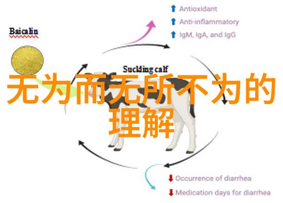 道家哲学影响了哪些重要的人物和思想体系