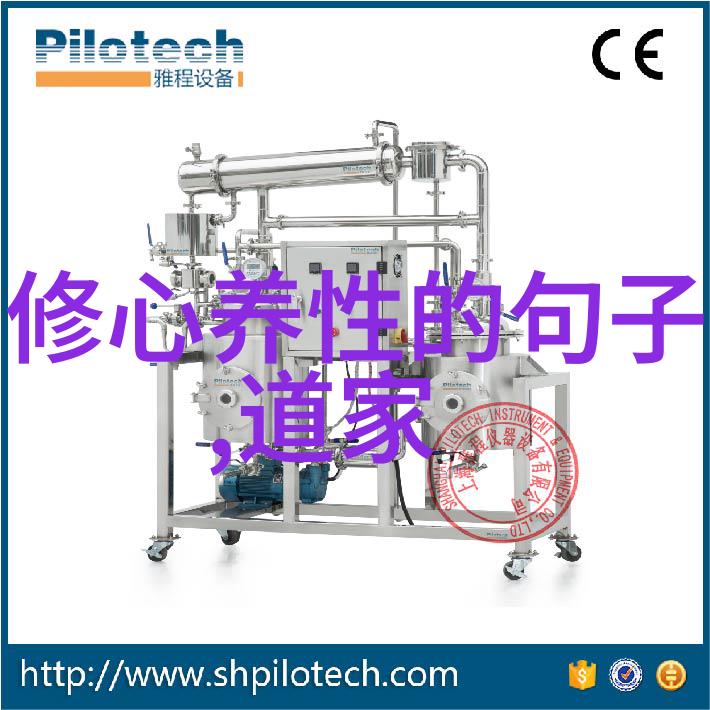 道教历代大师引领修行之道的主要人物