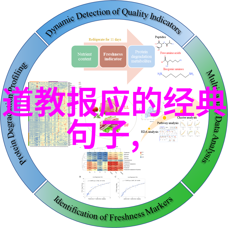 微信名道法自然的智慧选择创意取名的艺术