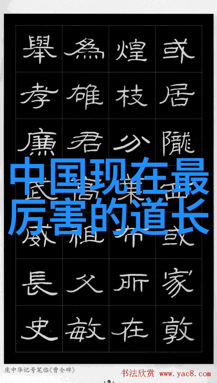 客家人的乡音正如一位守护者用它的声韵铭刻在中原古俗之中的烙印不仅是他们生活的风貌更是他们权利的象征