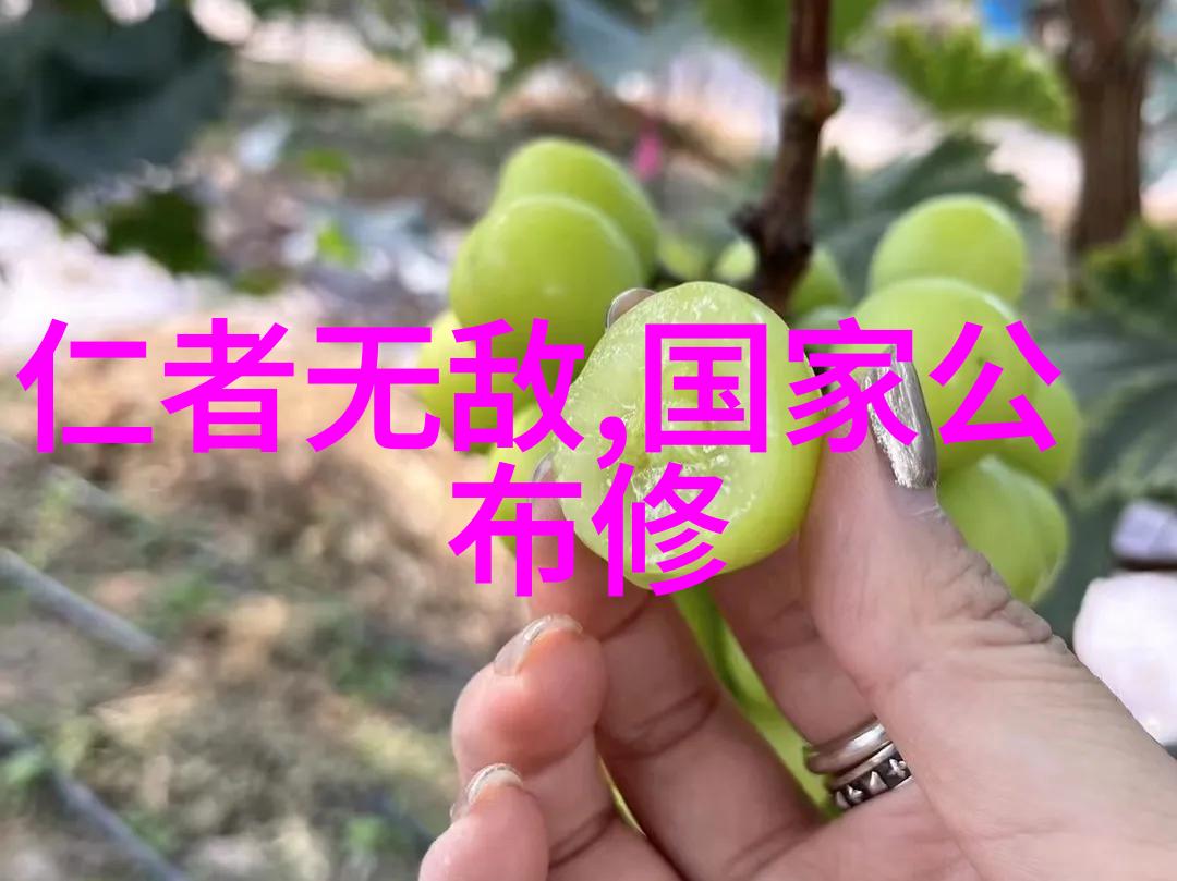 道教文化探秘旬中辛日诵读玉枢宝经道生一一生二二生三之谜解