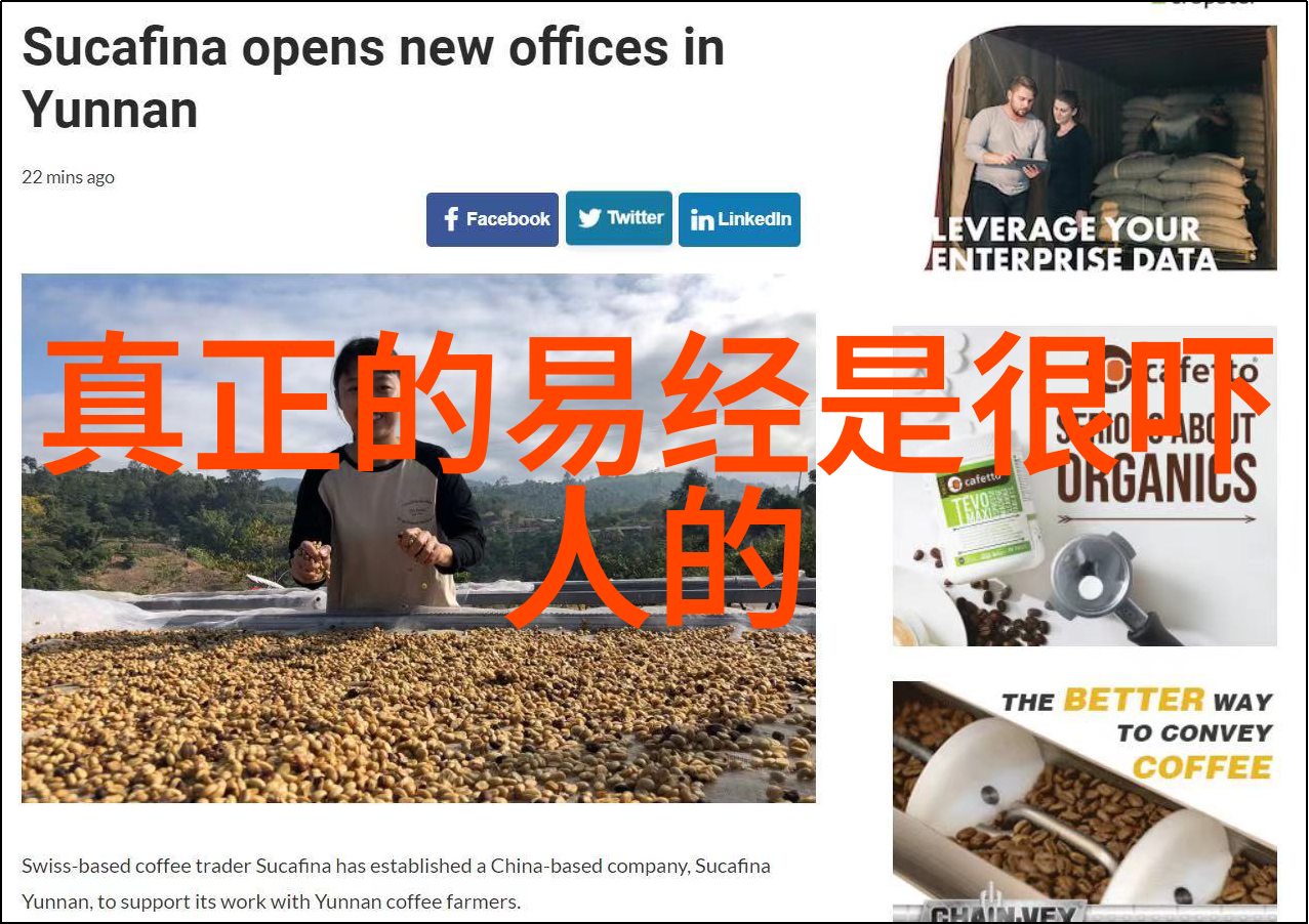 无欲则刚内心的平和与外在的坚强心理学中的欲望管理