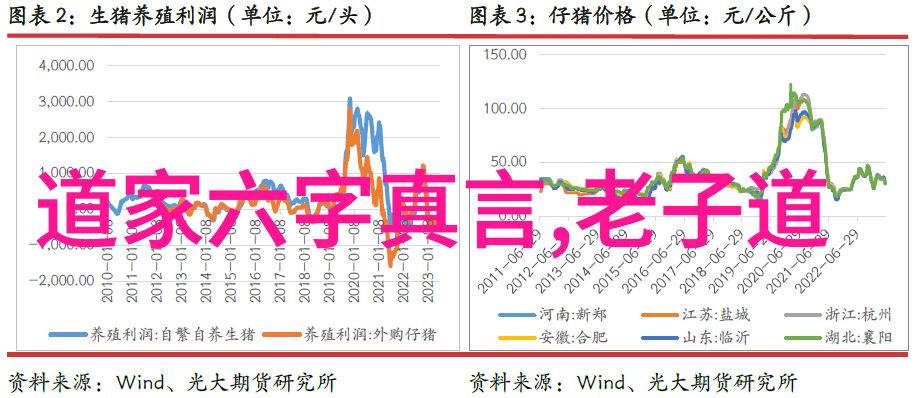 道家经典-悟道者十大道家人物语录探索