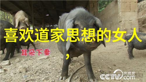 六耳猕猴神通广大传说中的智慧与力量