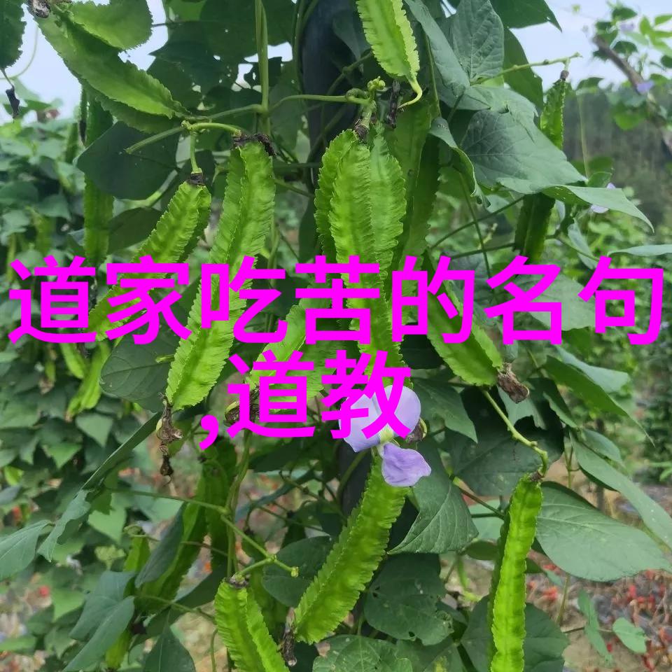 修炼九字真言提升自我意识