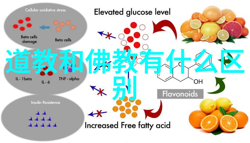 翻译与诠释之间的辩论道德经原文研究