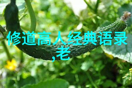 道家学者我想和你聊聊那位在山林间修行的老人