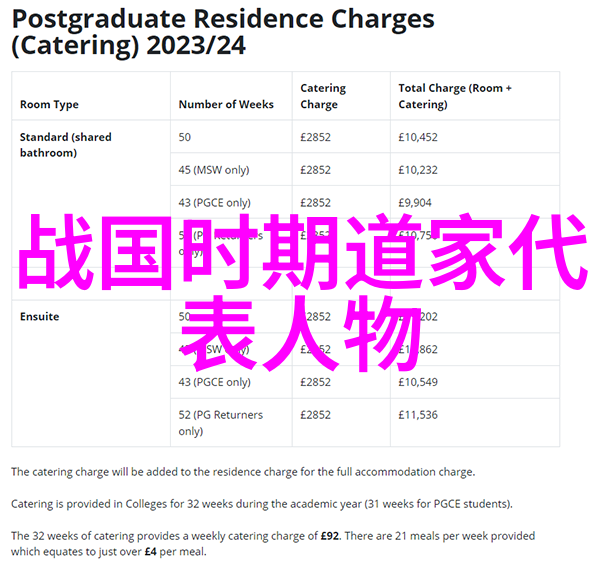 流离失所的思想家鲁迅与过客主题的探究