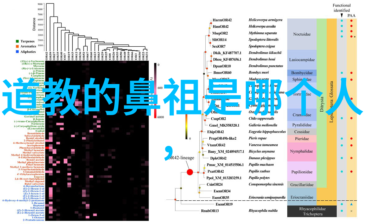 道家哲学代表人物老子与庄子的智慧对话古代中国哲学大师的思想对比