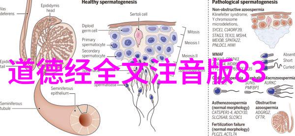 道德经经典100句栖云王真人之言