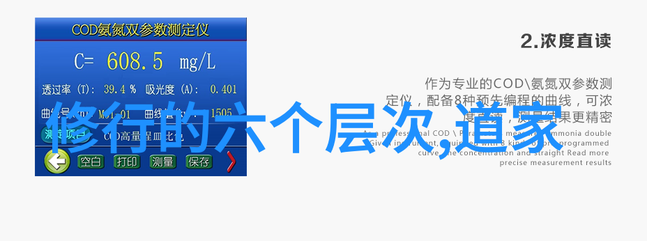 王重阳天师王真人太极拳之父