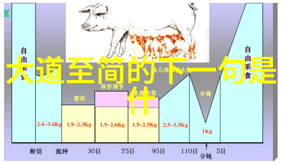 紫清真人白玉蟾颂天眼开启之旅