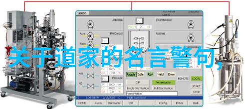 道家代表作探索揭秘古典智慧的源泉