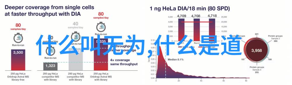 道观之美探索那些耳目一新的名字