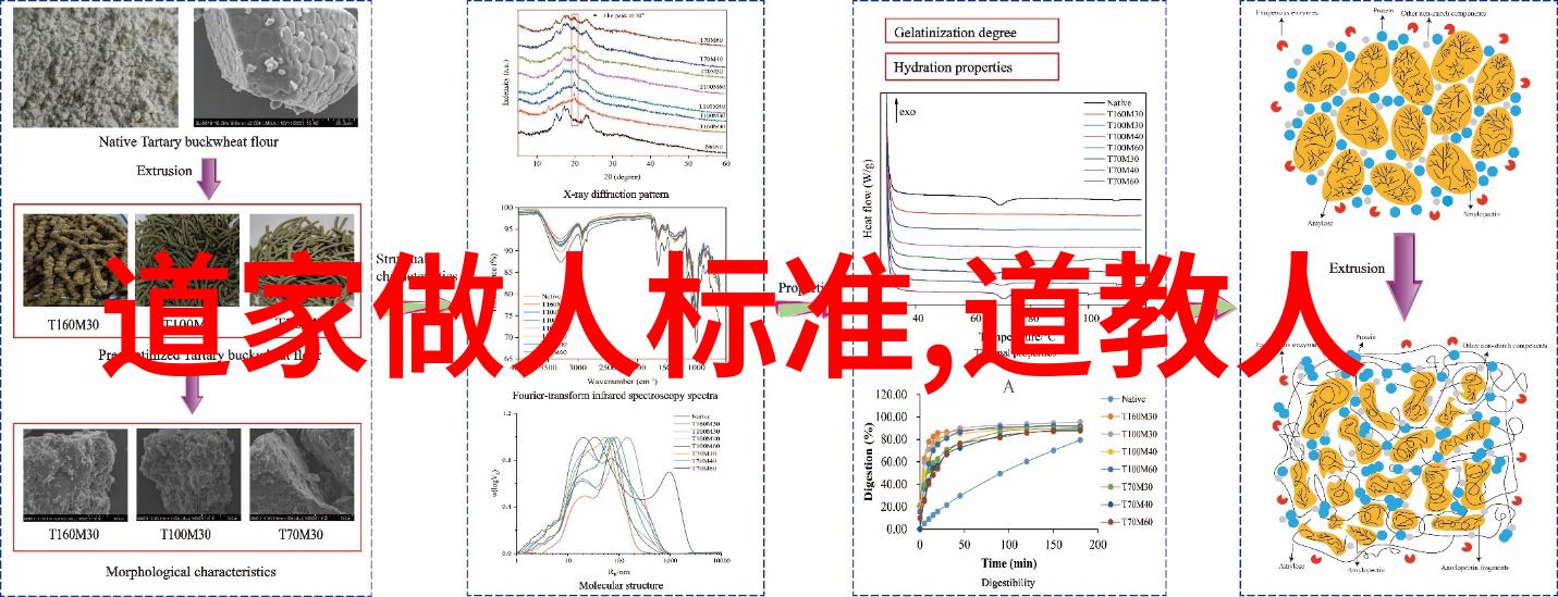 张良与三不朽药方道家养生秘籍的传承者