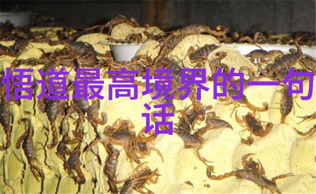 艺术的深度探索艺术素养与赏析的50个关键点