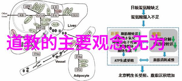 超越界限探索人生最高境界的奥秘