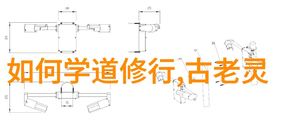 中国现代道教巨匠探索精神领袖的足迹