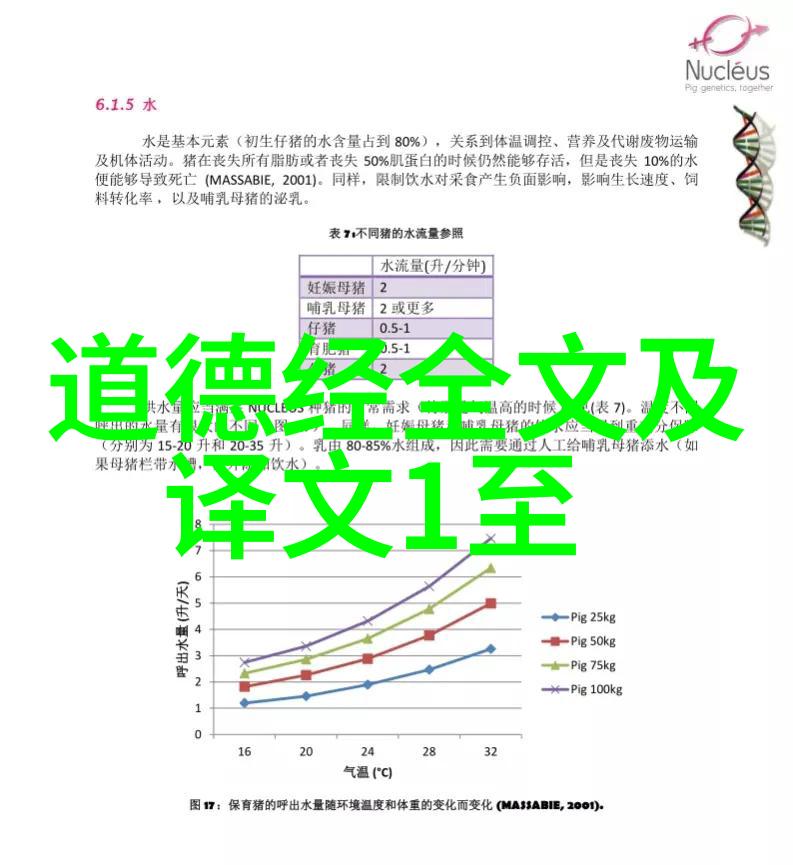 道家学派代表人物是老子道教的创始人和主要哲学思想家