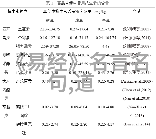 道士的青衫穿越千年传递着生命的哲理