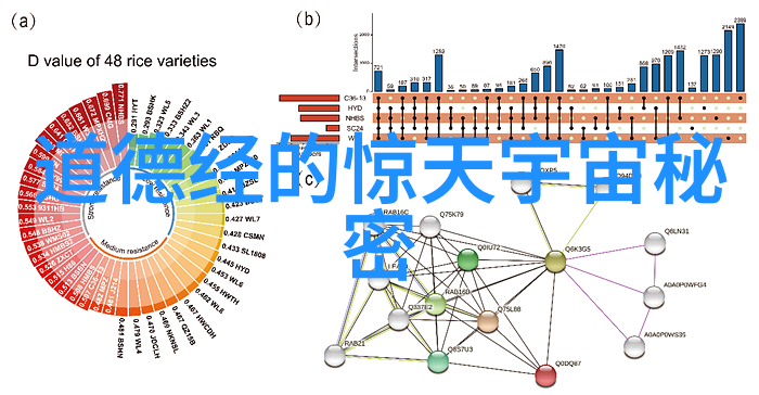 慈禧的内宫秘密揭开后宫禁区的真实面纱