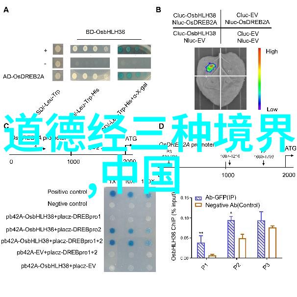 道教诗词紫清真人白玉蟾颂诸子百家之中寻觅不凡境界天然道观内外寄托古今韵味