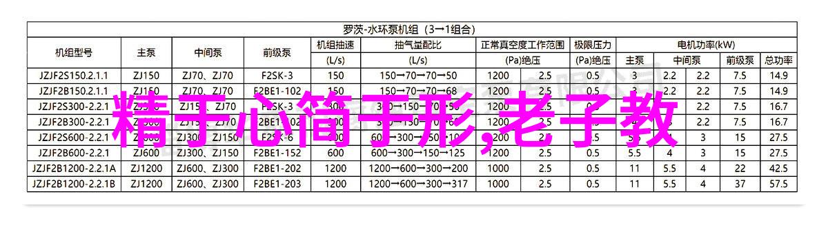 从新手到玄学大师一路上有猫无神明