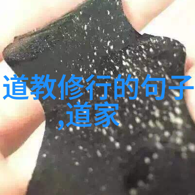 道家文化的根源与影响力道家的历史与哲学思想道家代表人物简介老子庄子张载等道家对中国哲学和社会发展的贡