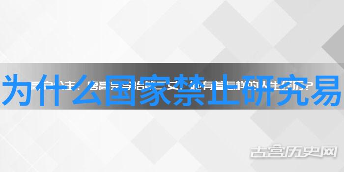 如何在现代都市中实践无为而无不为的思想