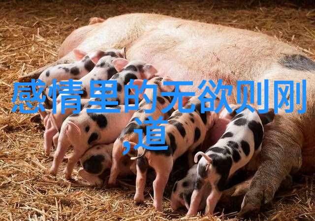 道家大师如何用无为之德让生活变得更悠哉