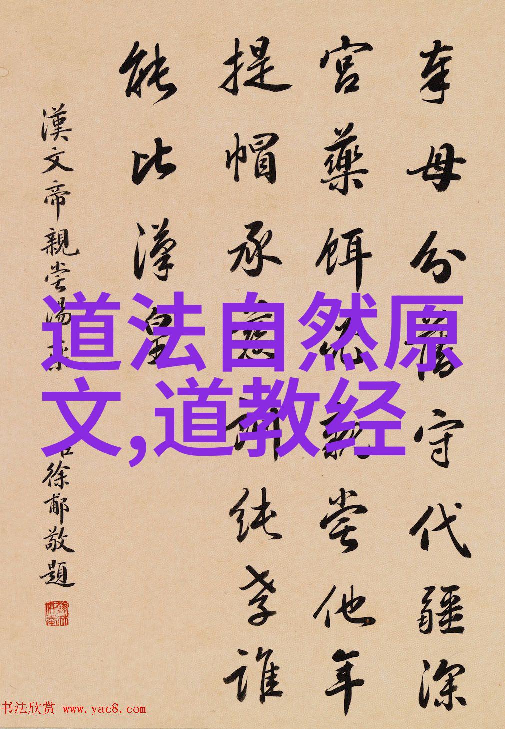 一生只修一宗深入探讨不同宗派间对日常生活影响及选取适合自己的宗派路径