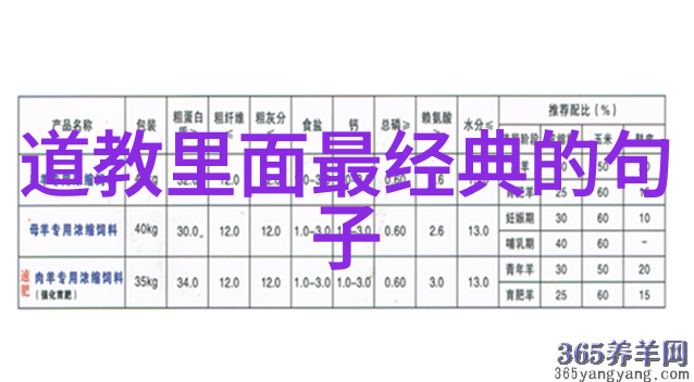 情人的世界探索爱情的无限可能