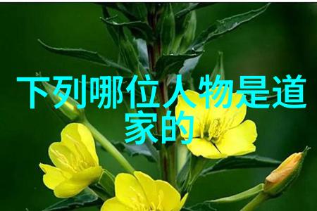 无为而治哲学如何应对日常生活挑战深度解析道家智慧在现代应用中的价值