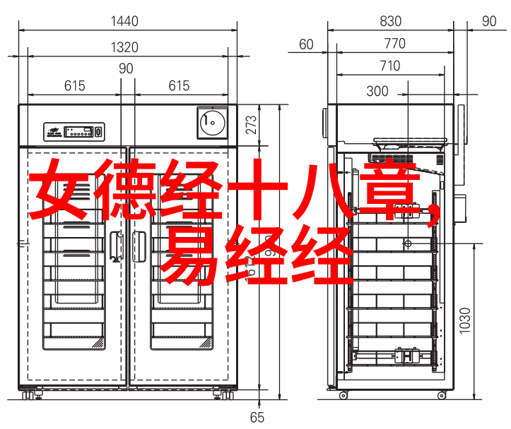 Ziran zhi dao yuandai zhixingdaojia shenhuaxue de