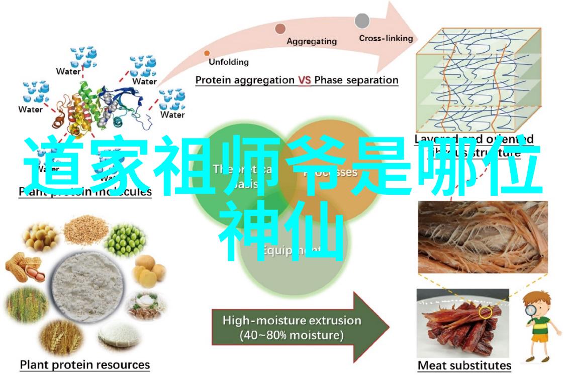 道德经全文及白话译文完整版道家哲学古籍