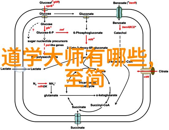 心不死道不生欲不灭道不存古典哲学中的永恒追求与现世沉浮