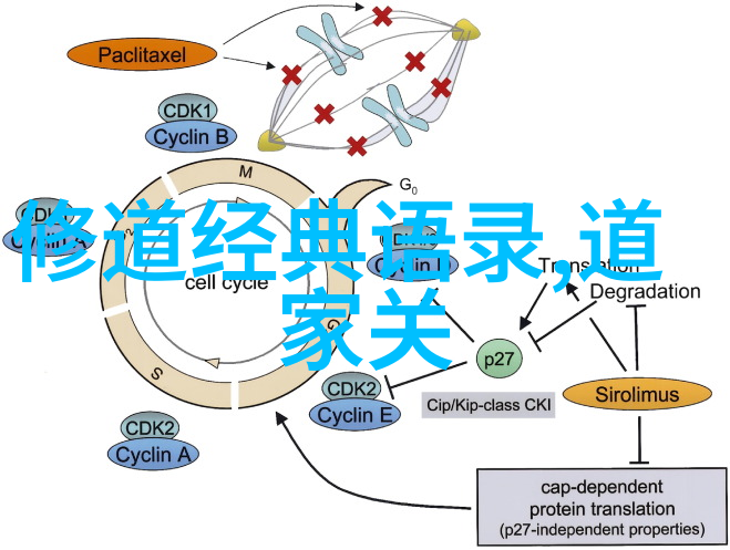 干涸地上的火风BY的逆袭故事