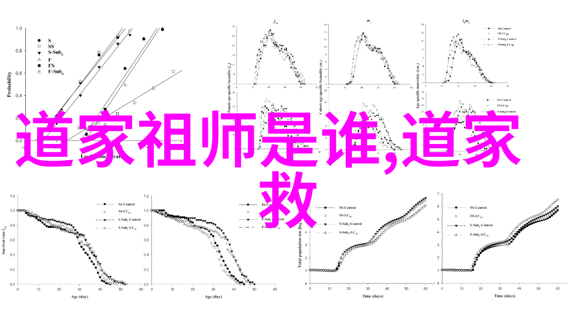 诅咒的力量探索念九字真言的神秘后果