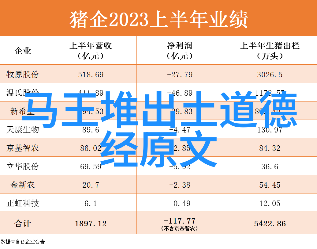 道家探幽隐秘的智慧与古老的影踪