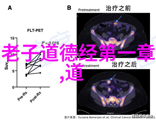 道家思想的创始人是老子我教你如何和世界和谐共处