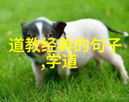 中国宗教学史上的重要里程碑道教诞生的关键时期回顾