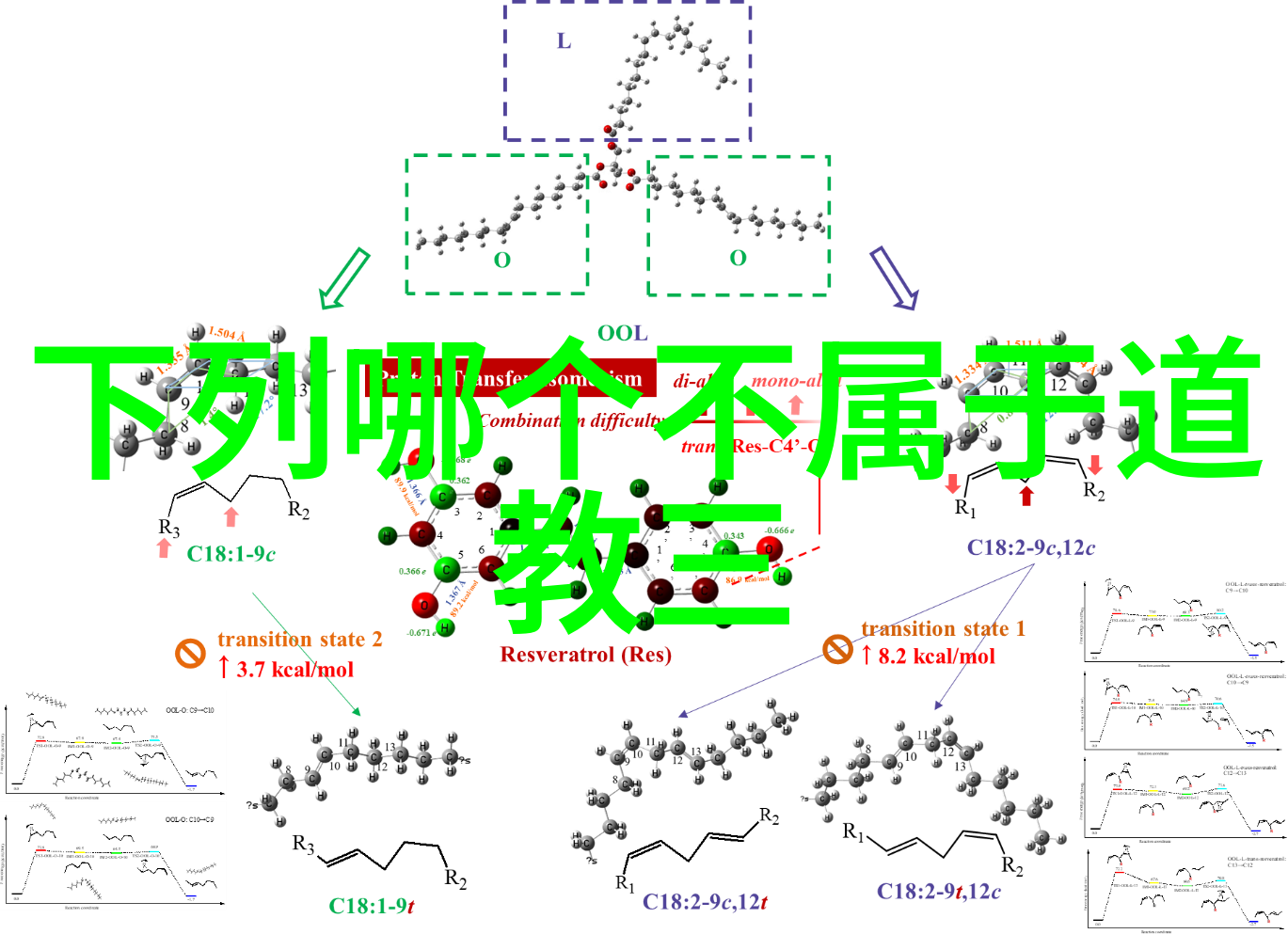 道家养睛明目保健法自然之美玄学入门之道