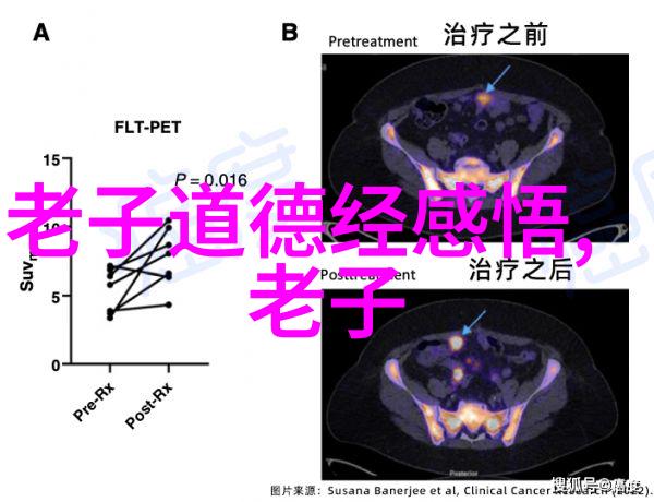 周理贵商洛天竺山上的道长大师教导我们如何在现代社会中保持悠然自得的状态