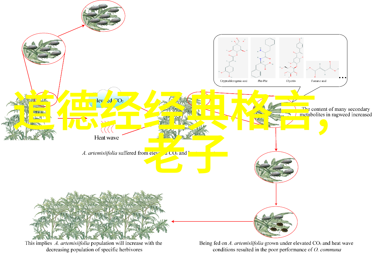 陈抟五代时期著名的道士以隐逸生活著称