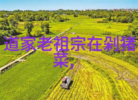 多元盛宴探秘中国56个民族的传统节日