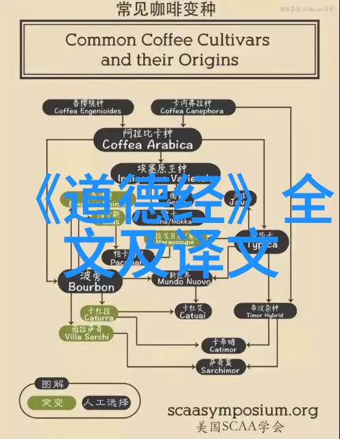 老子的道德经二年级-天地不仁以万物为刍狗 小小学童的哲学探索