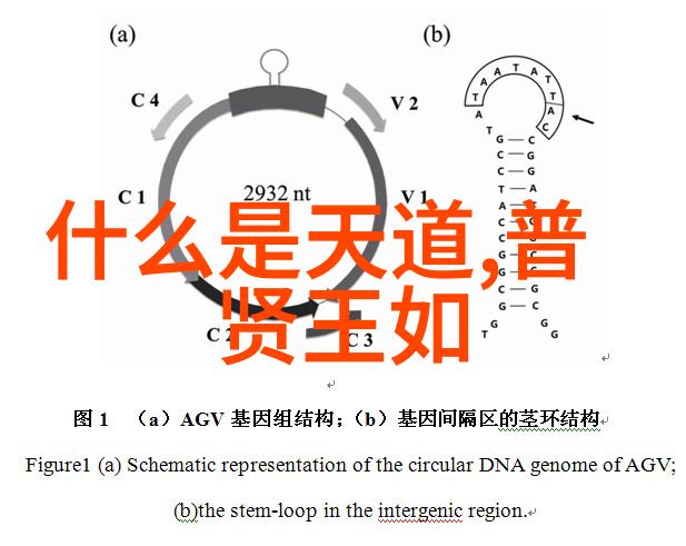 内心的平和是力量的源泉如何通过修养内心达到无欲则刚的境界