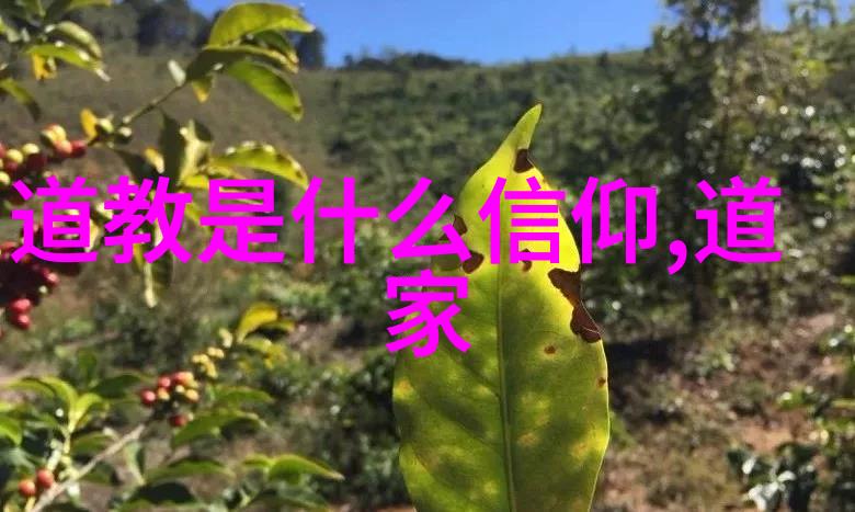 壮族文化特色西南少数民族中独特的长老制度传承