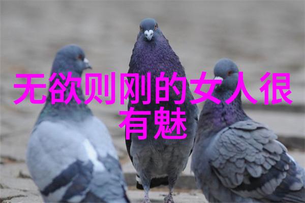 探索简约哲学大道至简的深远价值与实践意义