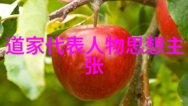 从信仰到实践道教三大祖师的生活方式